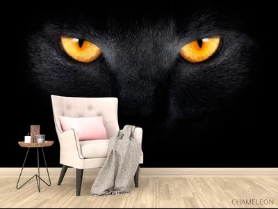 Фотообои Черная кошка», (арт. 1247) - купить в интернет-магазине Chameleon