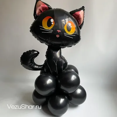 Черная кошка фото картинки - 69 фото