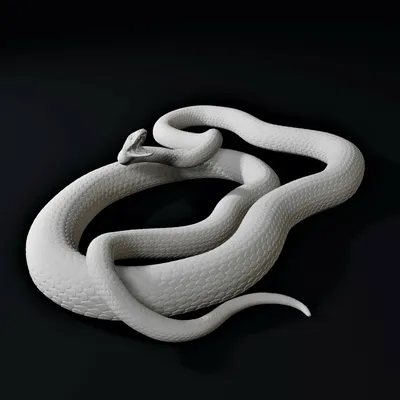 Файл 3D Черная мамба ядовитая змея пресмыкающееся 🐉・3D-печать дизайна для  загрузки・Cults