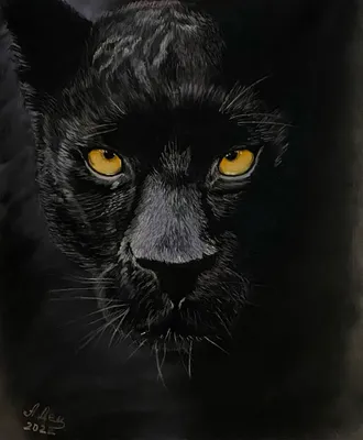 Black Panther (Черная пантера, Т'Чалла) :: Marvel (Вселенная Марвел) ::  красивые картинки :: Jerad Marantz :: арт :: фэндомы / картинки, гифки,  прикольные комиксы, интересные статьи по теме.