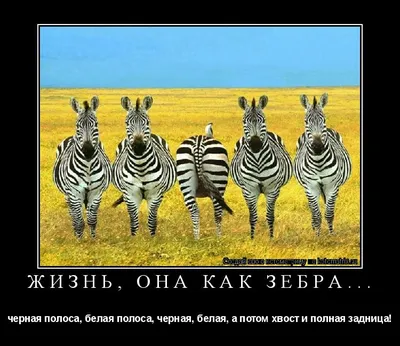 Если в вашей жизни наступила «черная полоса» 🔹🔸🔹🔸🔹 ЗАГОВОР НА УДАЧУ НА  ВОДУ ⠀ Если в вашей жизни наступила «черная полоса» - за … | Черные полосы,  Удача, Порту