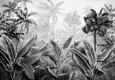 Фотообои дерево на стену 368x254 см Природа Растения в джунглях Черно-белые  листья (14166P8)+клей (ID#1754690728), цена: 1200 ₴, купить на 