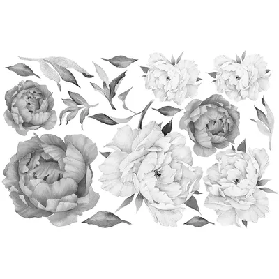 Обои «Черно-белые тропические листья» купить на стену — Невский Декор