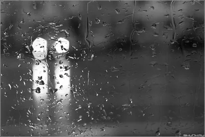 Черно белое фото - дождь за окном - обои для Iphone | Фото обои для Iphone