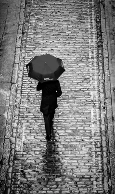 Черно-белый дождь. | Фотограф Анна Анна | Фото № 6963