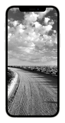 Красивые картинки на телефон черно белые - 68 фото