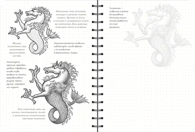 Скетчбук ОКО Рисуем фантастических существ. Экспресс-курс купить по  доступной цене. Доставка по всей Украине. Широкий ассортимент в Мастер Кисти