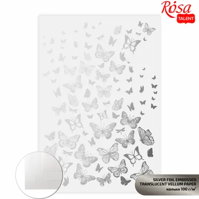 Калька с тиснением Rosa Talent Silver Butterflies А4 (21х29,7см) 100г  купить по доступной цене. Доставка по всей Украине. Широкий ассортимент в  Мастер Кисти