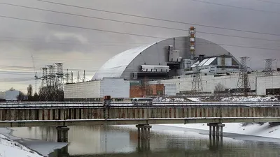 В Чернобыле опасна не радиация, а волки | | Новости ООН