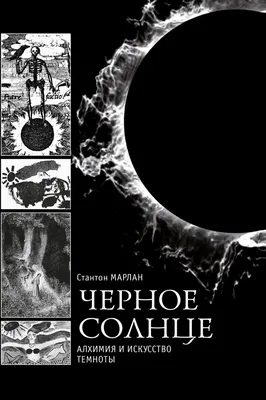 Чёрное солнце Украины. История неонацистского движения «Азов». (признан в  РФ экстремистским и запрещен) - Книжный мир