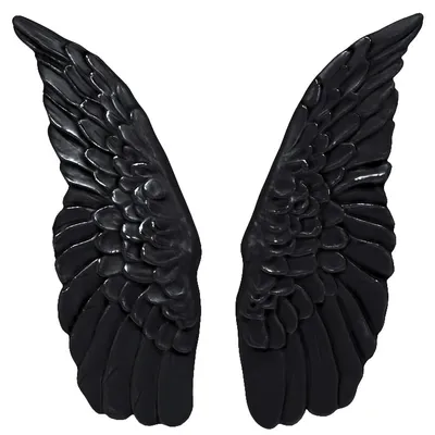 Крылья Черного Ангела Leg Avenue Angel Accessory Kit Black, Крылья, Нимб —  Купить на  ᐉ Удобная Доставка (2007266646)