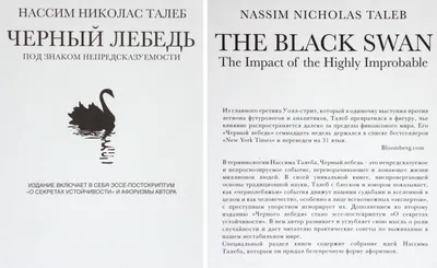 Темная история. Во Владивостоке заметили черного лебедя на Спортивной  набережной - 