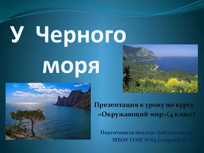 ЧЕРНОЕ МОРЕ: отдых, цены 2024, курорты и города