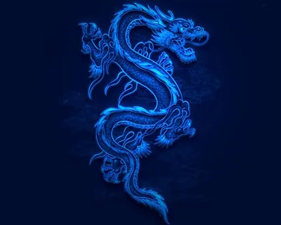 Черного водяного дракона картинки