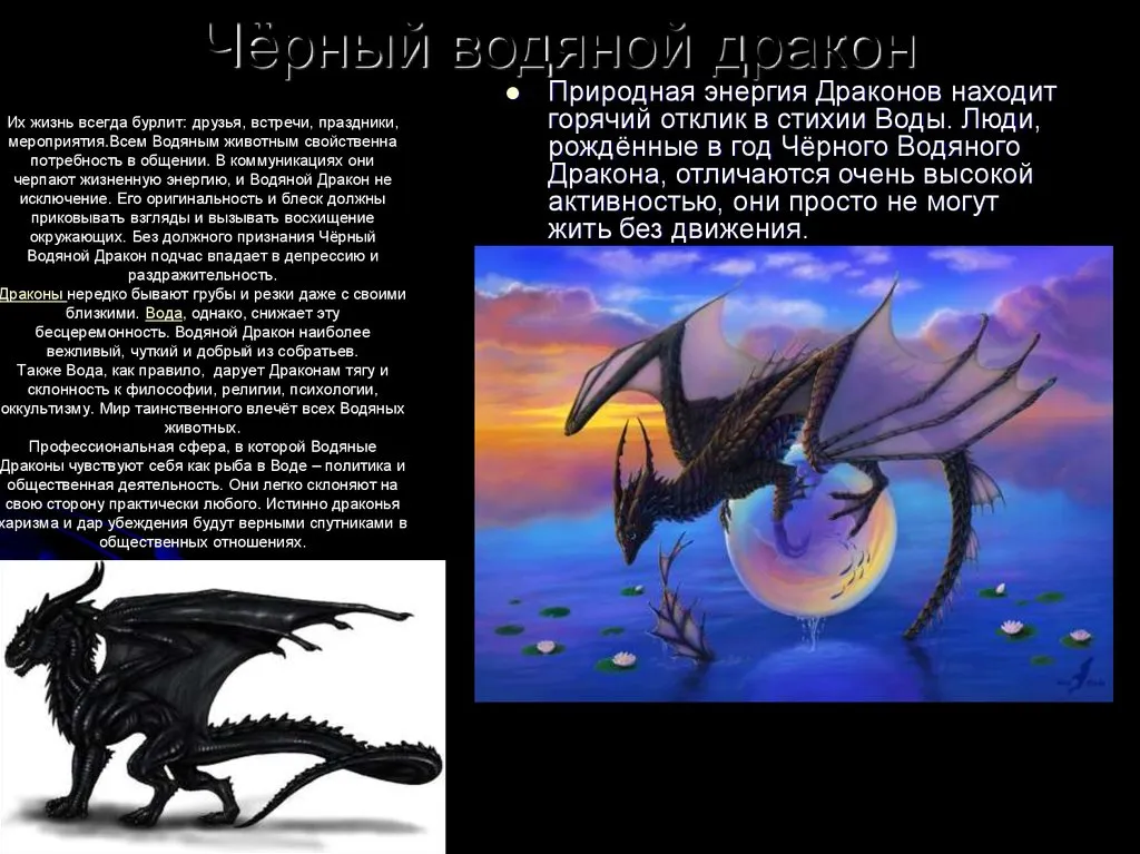Почему год дракон. Описание драконов. Дракон для презентации. Описание дракона. Черный водяной дракон.