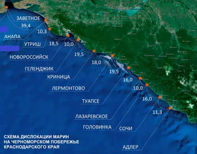 Карта черноморского побережья. Карта сочинского побережья. Где находится  Сочи. Скачать карту. Курорты Сочи. Туапсе. Лазаревское. Лоо. Адлер. Гагра.  Карта дорог. Где находится. Как проехать. Как добраться. Фото Сочи. Сочи.  Дороги Сочи. Реферат.