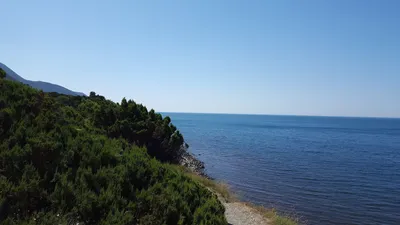 Всем привет с Черноморского побережья! | Instagram