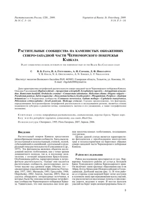 Ростуризм: рынок Черноморского побережья максимально перегрет | Новости  Саратова и области — Информационное агентство "Взгляд-инфо"