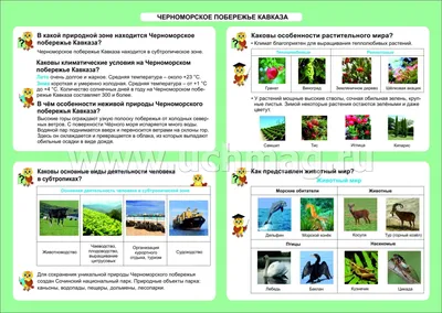 Что с погодой в Сочи, Анапе, Туапсе и Абхазии: обстановка на курортах прямо  сейчас | Ассоциация Туроператоров