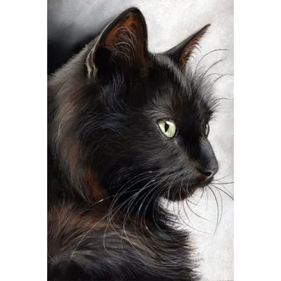 Черные котики картинки нарисованные - 58 фото