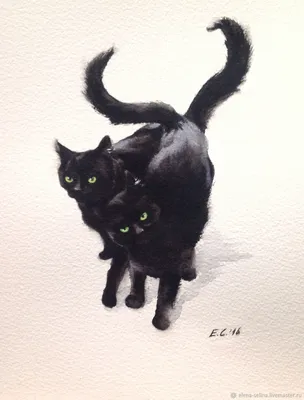 Черные кошки - обожаемые и любимые