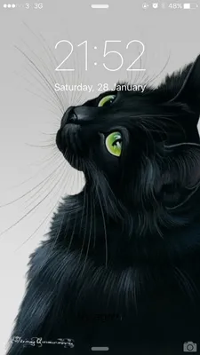 Иллюстрация Черный кот в стиле книжная графика | 