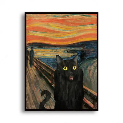 Черный кот смешные картинки
