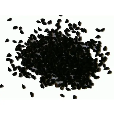 Черный тмин семена "Bio Land", 1 кг - купить с доставкой по выгодным ценам  в интернет-магазине OZON (232428431)