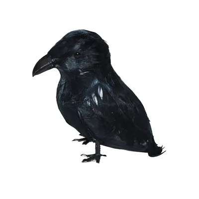 Черный Ворон - Мрачный и загадочный постер