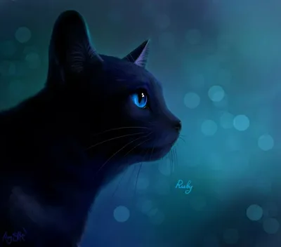 Фон рабочего стола где видно ultra hd 4k wallpaper, Cat face, black cat  with blue eyes, pet , кошачья морда, черная кошка с голубыми глазами,  домашнее животное