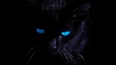 Черная кошка с большими глазами - 80 фото