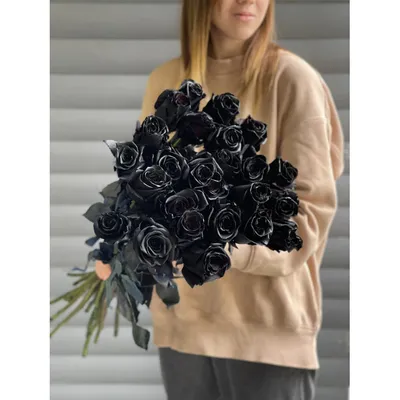 Сезон цветения уникальных черных роз наступил в Турции | Туристический  бизнес Санкт-Петербурга