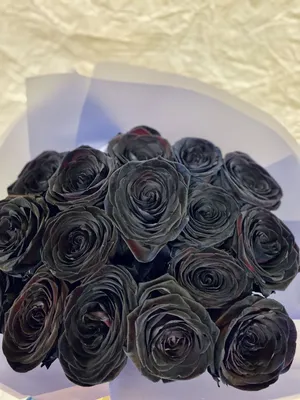 Букет из черных роз – купить с бесплатной доставкой по Москве