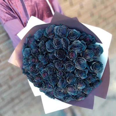 Купить 15 штук черных роз в Куйбышеве за 3 650 руб. | Быстрая доставка  цветов
