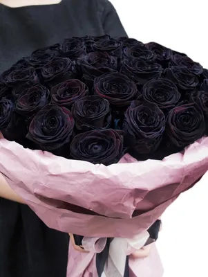 Статьи » Что означает черная роза