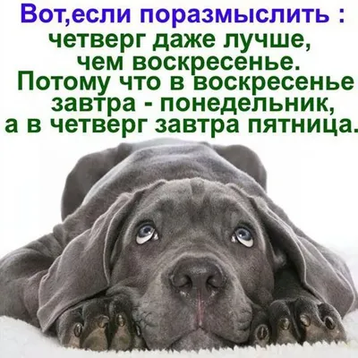 Отдых Италия - Четверг это маленькая пятница 🥳 Поэтому... | Facebook