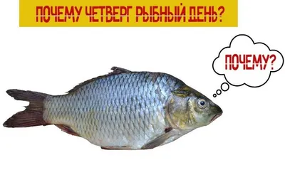 Почему четверг — рыбный день?