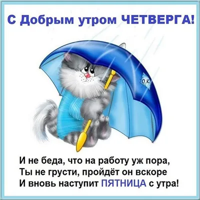 В этот четверг приходите на проверочный концерт @ в  @ Будет очень весело и тепло, всех ждём 🧡 Билет 2000тг… |  Instagram