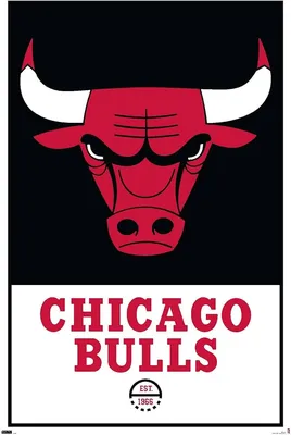 Chicago Bulls Logo