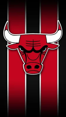 Chicago Bulls Over/Under Win Total Prediction