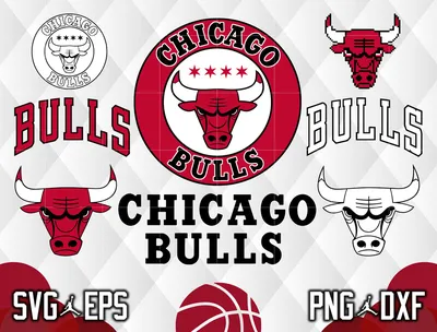 Chicago Bulls ✓