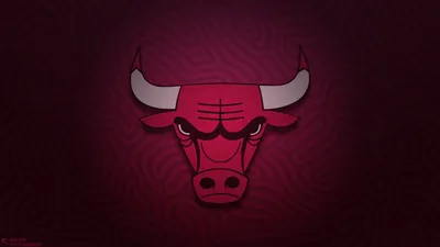 Chicago Bulls Logo Vector Set - MasterBundles