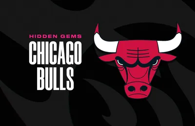 Chicago Bulls - Wikipedia