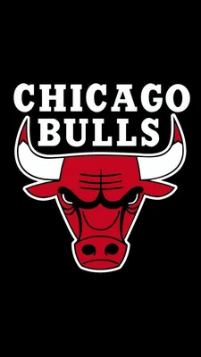 CHICAGO BULLS NBA BASKETBALL HUGE XL " TEAM LOGO PATCH | eBay