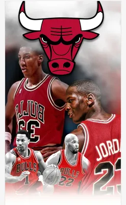 Chicago Bulls NBA Logo Photo - 8" x 10" - Dragon Sports