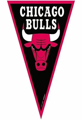 Chicago Bulls WinCraft Cloisonne Logo Keychain – Official Chicago Bulls  Store