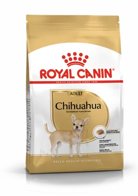 Royal Canin Chihuahua Puppy 0,5кг- корм для щенков породы чихуахуа: купить  по лучшей цене в Украине. корма и лакомства для домашних животных и птиц от  "ZooVet - інтернет зоомагазин самих низьких цін -