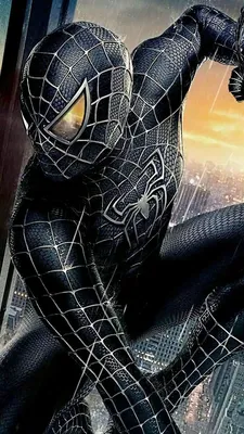 Чёрный Человек паук. Новый концепт костюма. | Пикабу