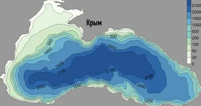 Экология Черного моря: в чем проблемы нашего моря?