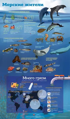 День Черного моря 2022